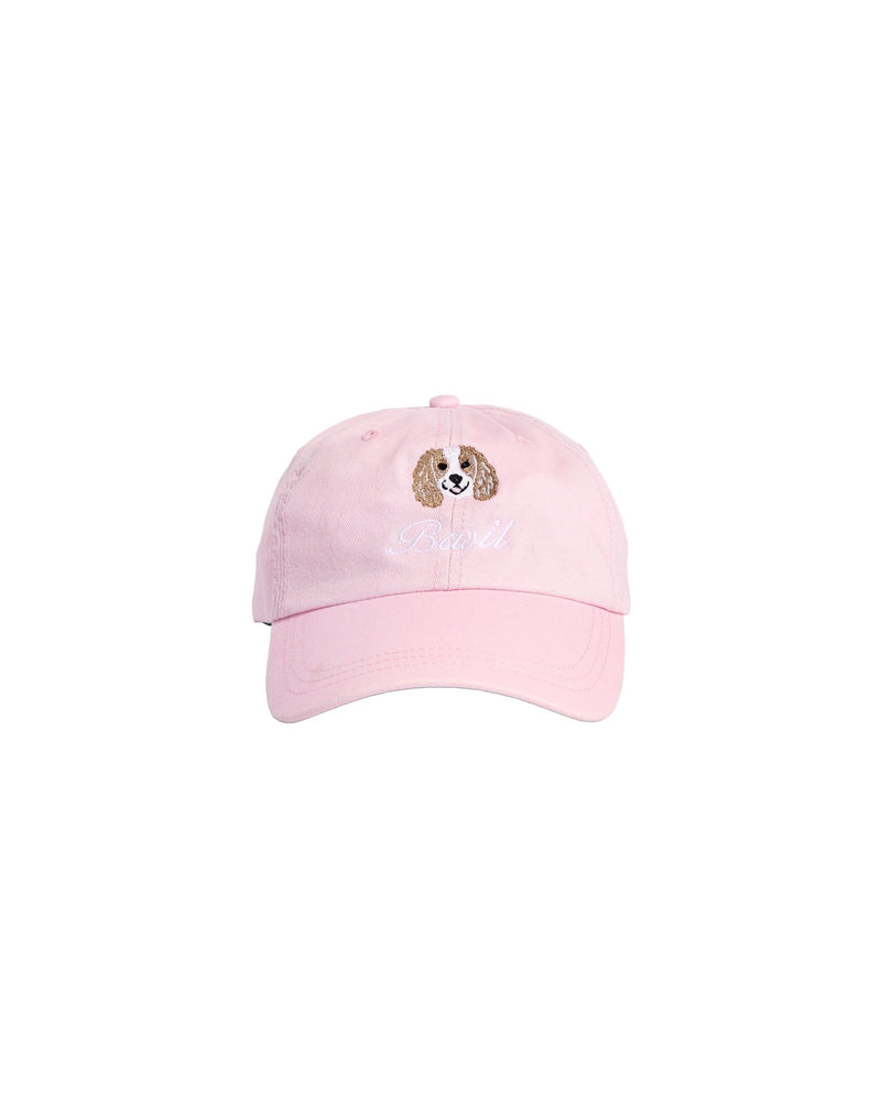Icon Baseball Hat